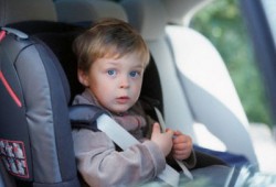 ������������ � ��������