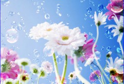 �������� �����