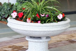 ������������ ������ ��� ������