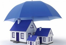 ������� ����������� ���������