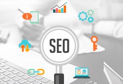 SEO    .  21 