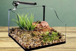 ����� ���������� ������ ����� ��� ����������?