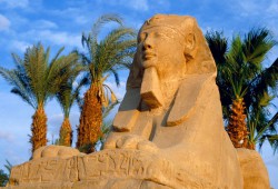 Туристический Египет