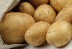 Картошка в Украине становится менее популярна
