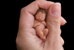 В Ирландии обсуждают законопроект о легализации абортов